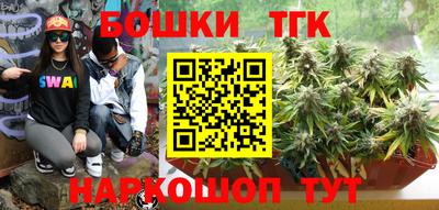 индика Ливны