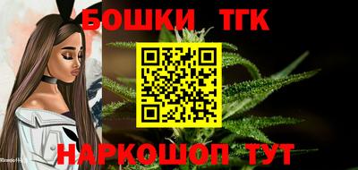 индика Ливны