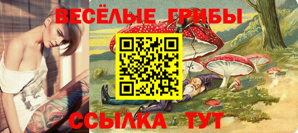 Галлюциногенные грибы Psilocybine cubensis  Вход с VPN  Вязьма 